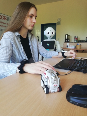 KI-Robotik KI-Robotik