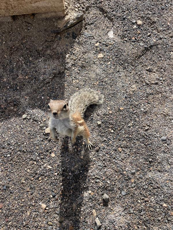 Erasmus2022 Erasmus2022